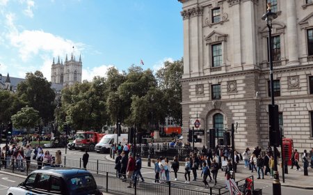 Best Countries for International Graduates to Start Their Careers