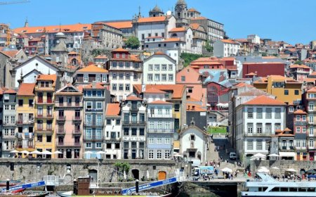 Study in Portugal and Start a Business: Why Lisbon Is Ideal for Student Entrepreneurs